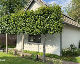 B&B Het Torenhuis